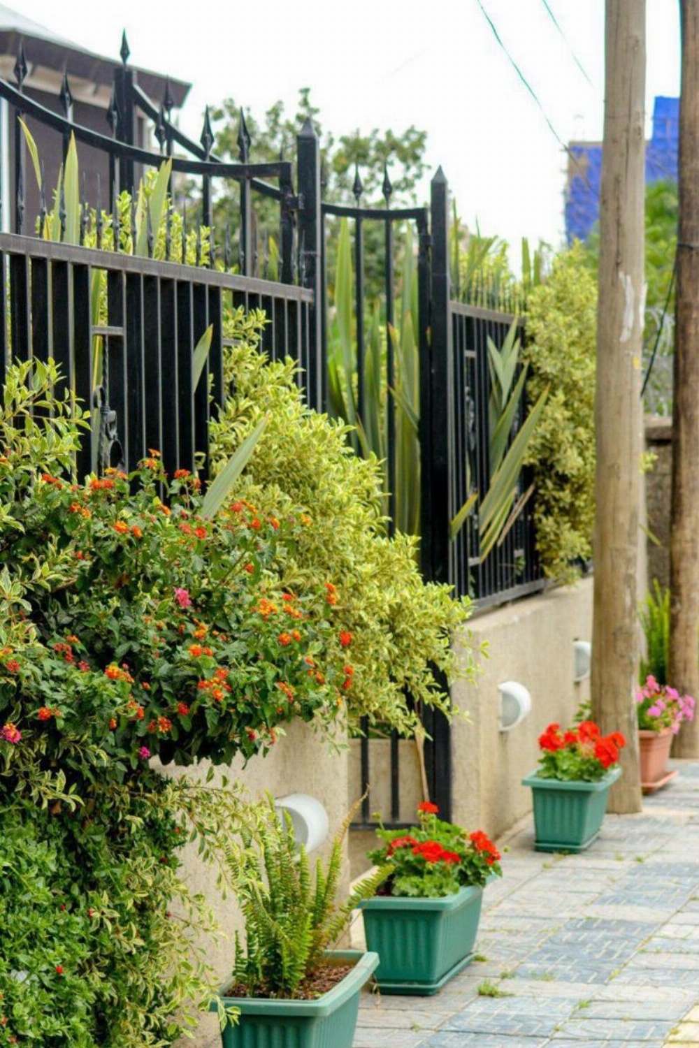 Melodie Hotel Image 12