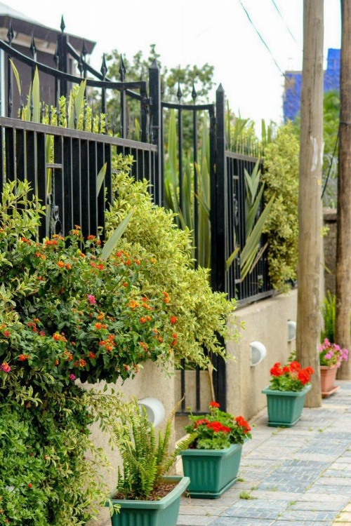 Melodie Hotel image 12