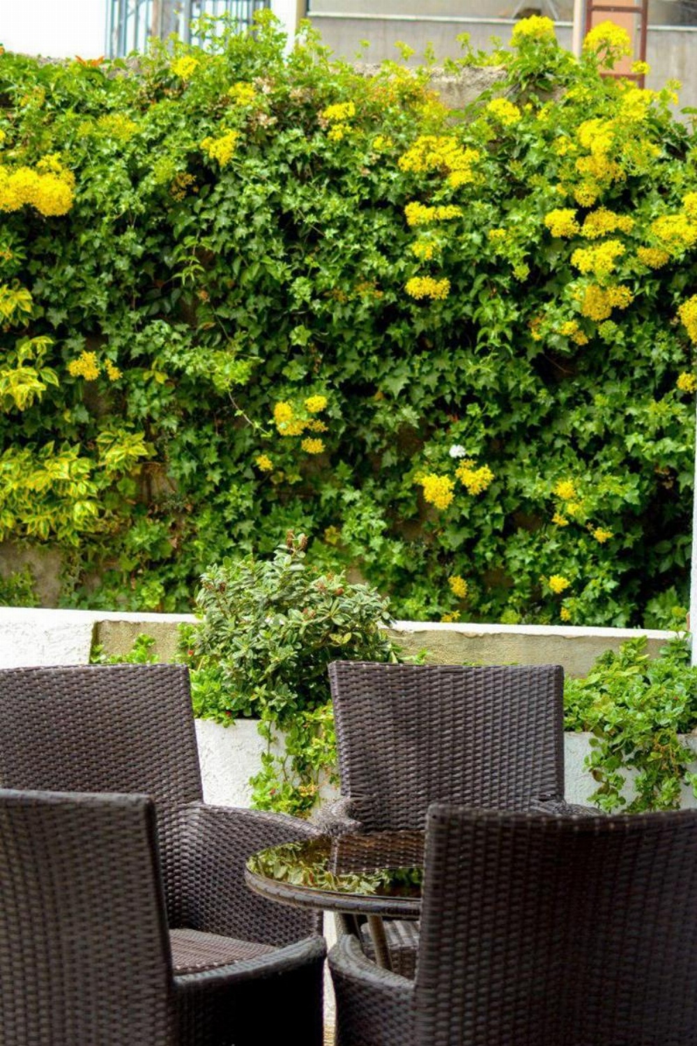 Melodie Hotel Image 19